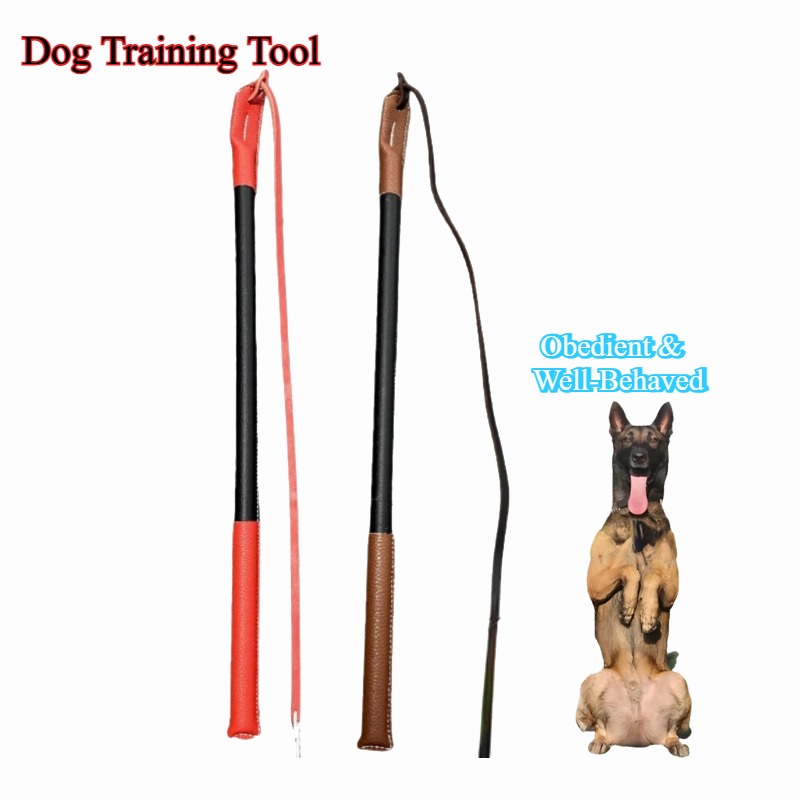 Leatherwork Training - Deri Çırtırık Kırbaç - Köpek Eğitim