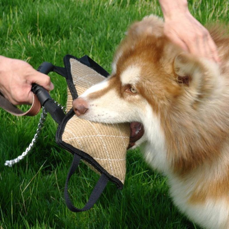 Köpek Isırma Çekme Oyunu Eğiti - Leatherwork Training incelemesi ve fiyatı