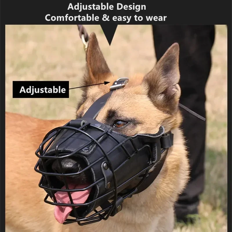 Alman Çoban Köpeği Çalışma Köp - Leatherwork Training incelemesi ve fiyatı