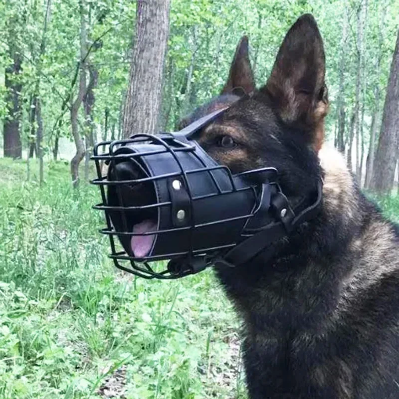 Alman Çoban Köpeği Çalışma Köp - Leatherwork Training incelemesi ve fiyatı