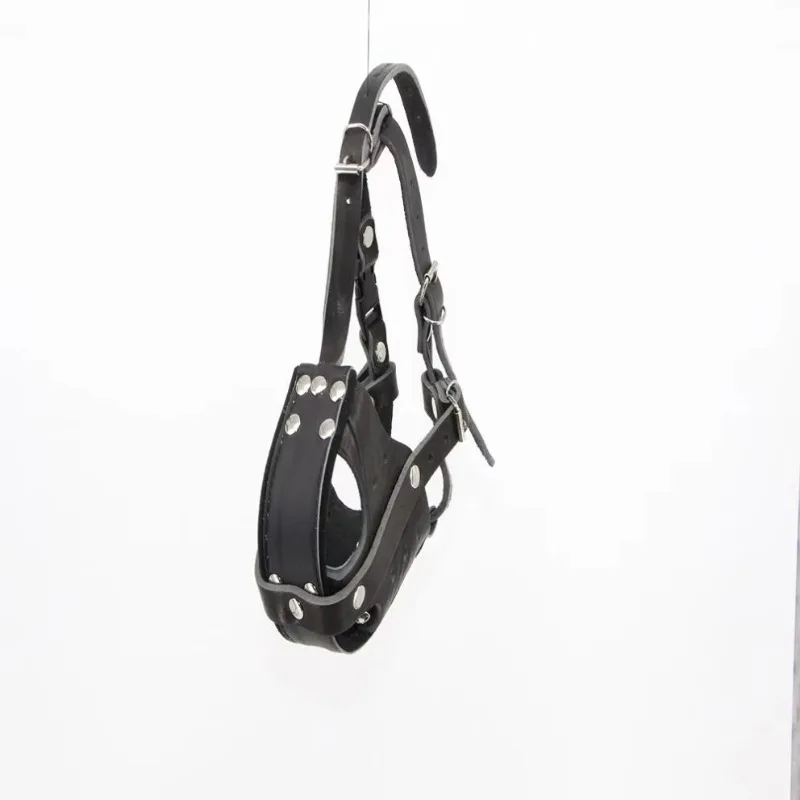 Taktik Köpek Deri Eğitim Köpek - Leatherwork Training incelemesi ve fiyatı